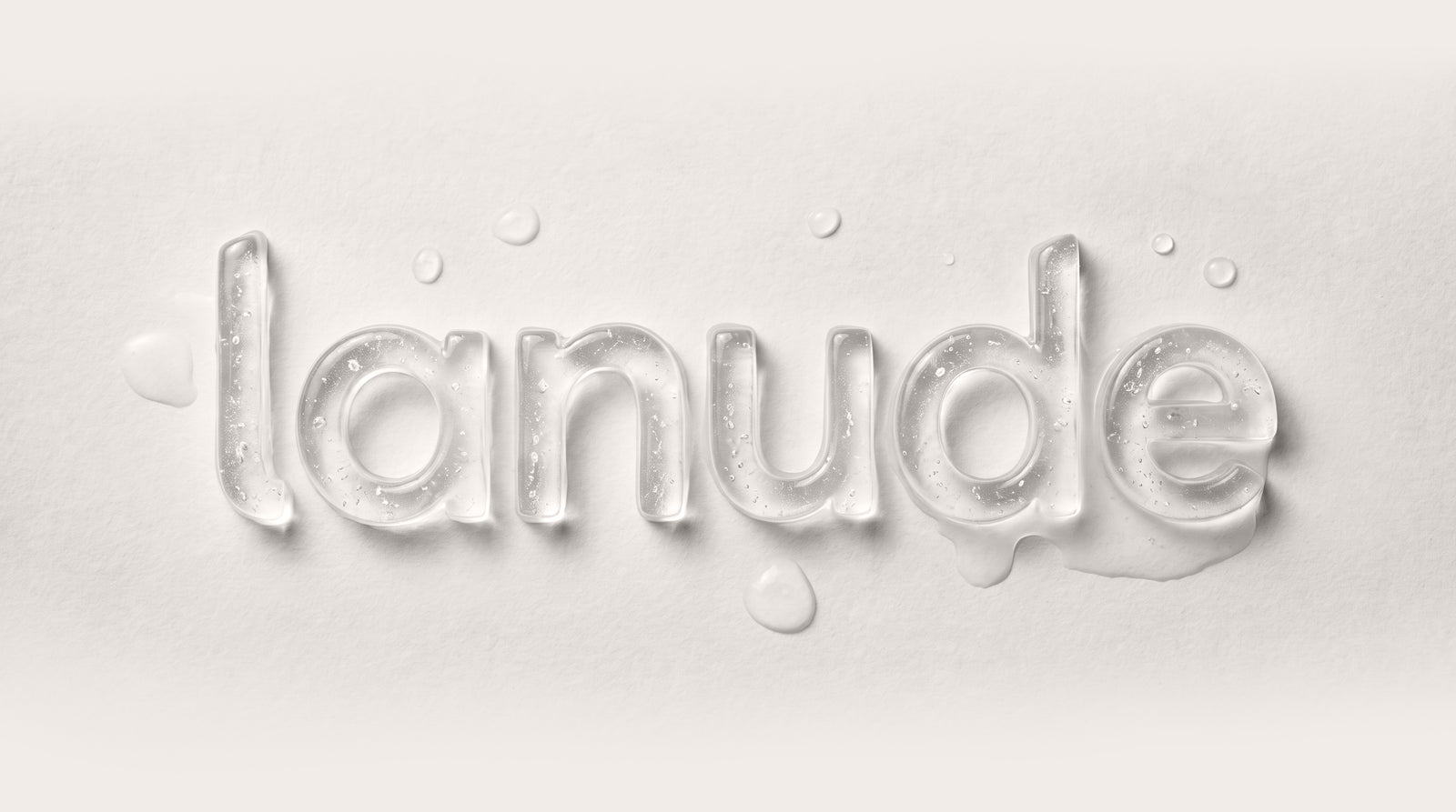 Logo de Lanude