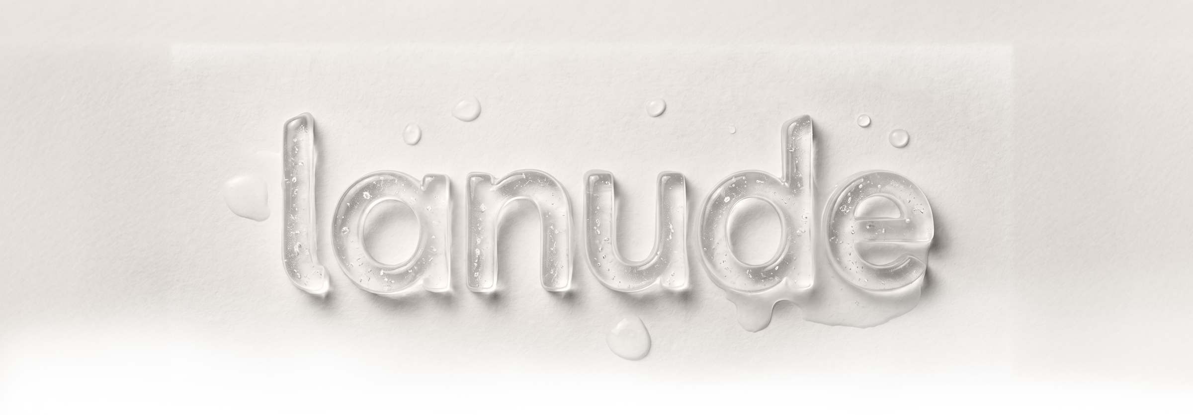 Logo de Lanude