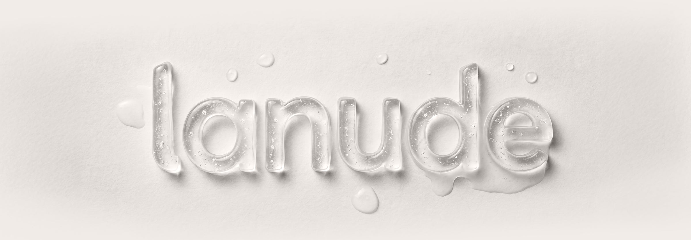 Logo de Lanude